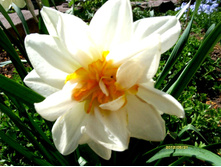 S73R1072.JPG