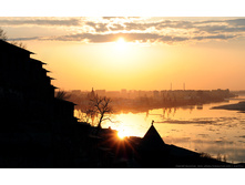 BUL_9877=.jpg