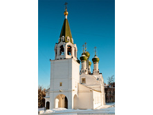 BUL_3537=.jpg