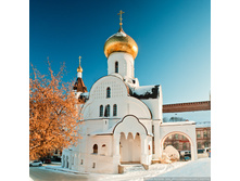 BUL_3566=.jpg