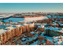 BUL_3592=.jpg
