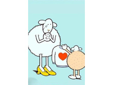 sheep.jpg