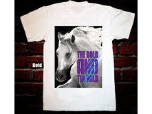 Horse.jpg
