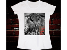 Owl.jpg