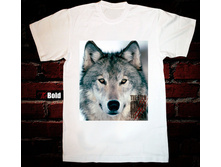 Wolf.jpg