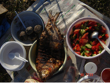 DSC01784.JPG