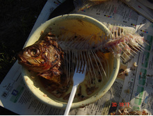 DSC01789.JPG