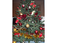 DSCF0633.JPG