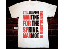 still sleeping.jpg