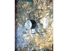21.10.2010 19:04:56