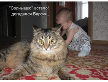 getImageCADAYTQ2.jpg