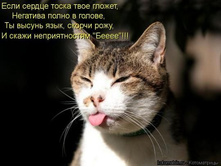getImageCAHQUW6U.jpg