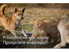 getImageCAMH0PET.jpg