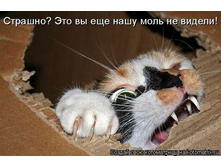 getImageCAQU2RWI.jpg