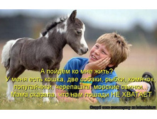 getImageCAWM00EC.jpg
