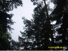 13.07.2009 15:36:35