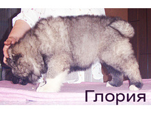24.02.2013 12:31:27