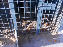 DSCN1574.JPG