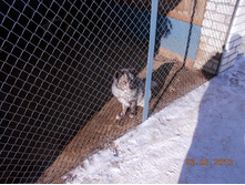 DSCN1582.JPG