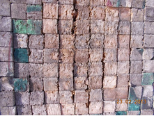 DSCN1587.JPG