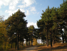 PICT000433.jpg