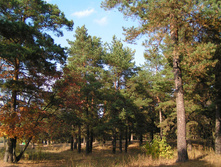 PICT000766.jpg