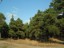 PICT000877.jpg