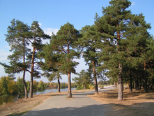 PICT000988.jpg
