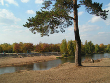 PICT00111010.jpg