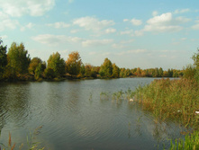 PICT00252424.jpg