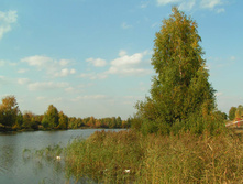 PICT00272626.jpg