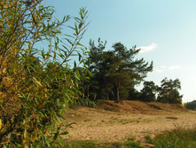 PICT00282727.jpg