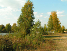 PICT00302929.jpg