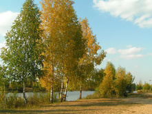PICT00323131.jpg