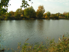 PICT00373636.jpg