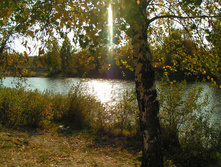 PICT00383737.jpg