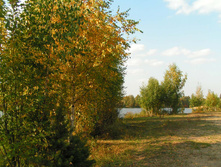 PICT00393838.jpg