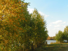 PICT00424141.jpg