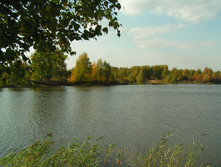 PICT00474646.jpg