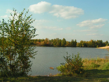 PICT00525151.jpg