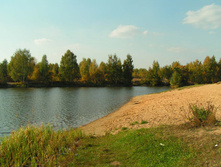 PICT00787777.jpg