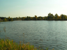 PICT00807979.jpg