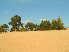 PICT00818080.jpg