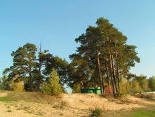 PICT00838282.jpg