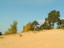 PICT00878686.jpg