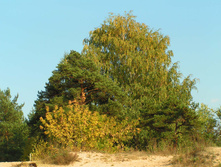 PICT00888787.jpg