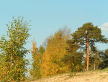 PICT00908989.jpg
