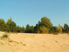 PICT00949393.jpg