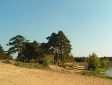 PICT00969595.jpg