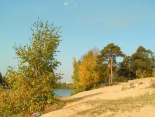 PICT01009999.jpg